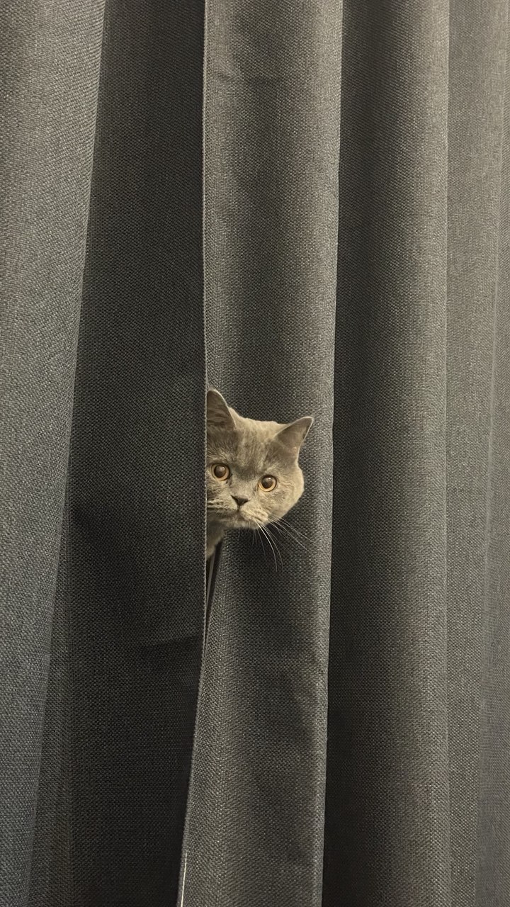 Чита