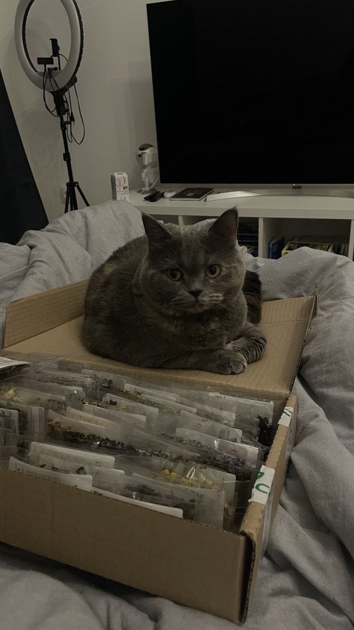 Чита
